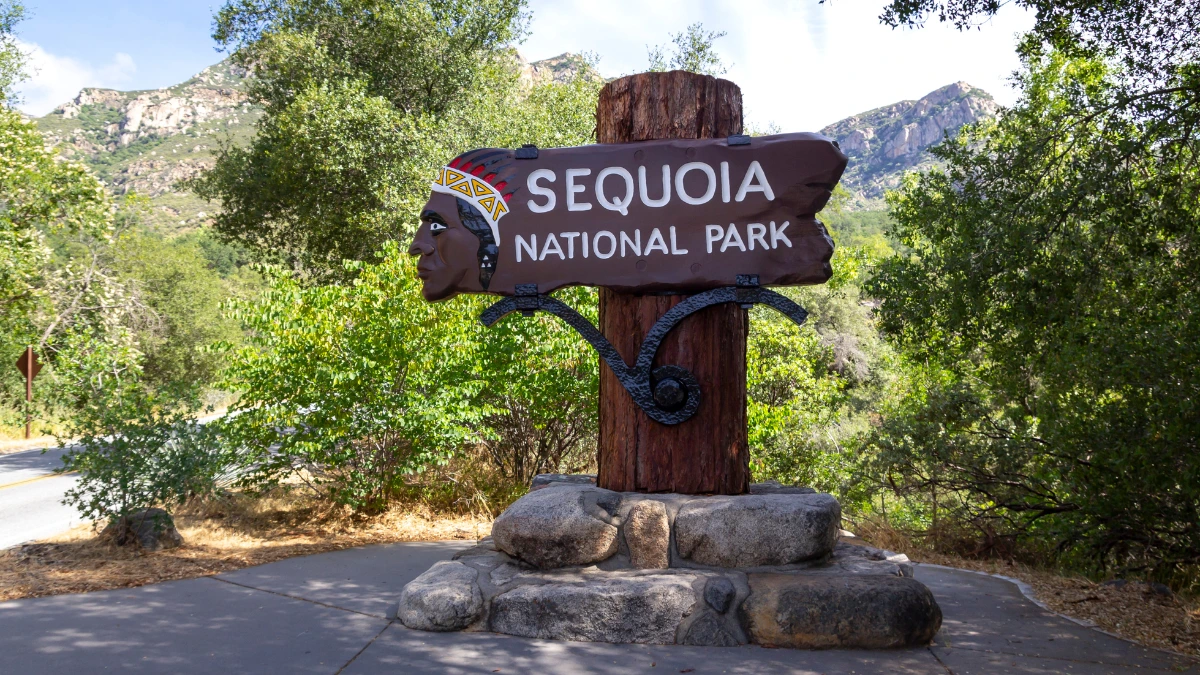 Sequoia National Park Photos